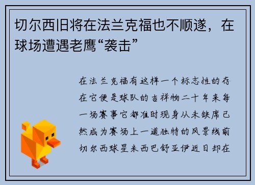 切尔西旧将在法兰克福也不顺遂，在球场遭遇老鹰“袭击”